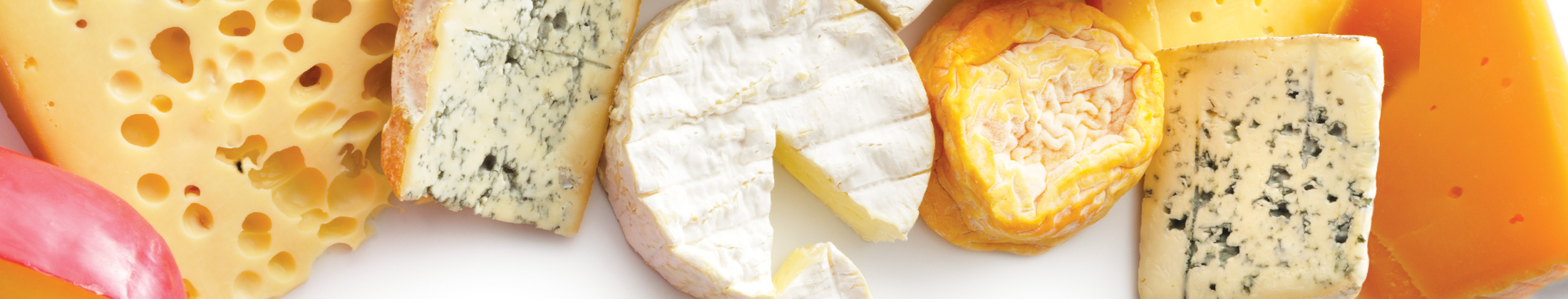 various types of cheeses across a plain colored background